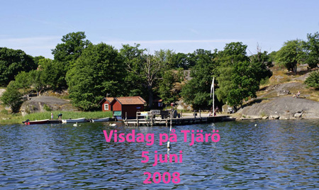 Tjärö visträff (3)