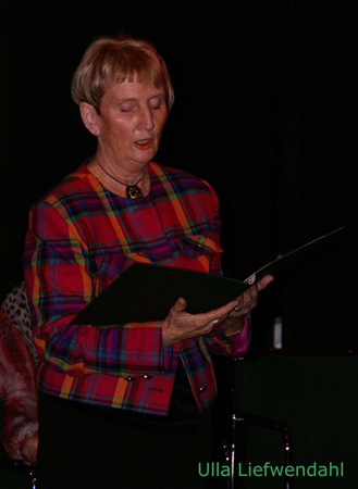 Vis och Poesifestival 2008 (45)